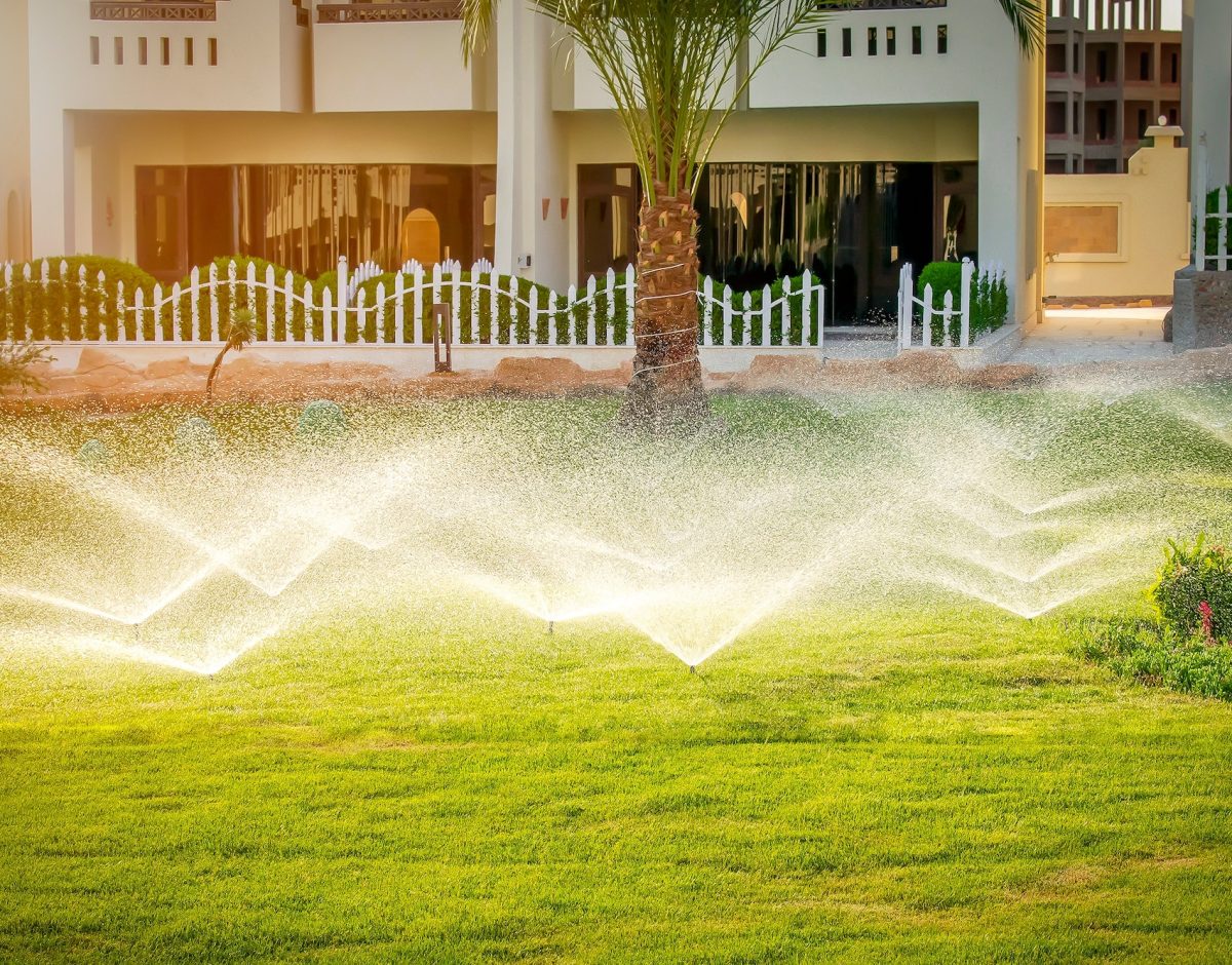 Water sprinkler spraying over green fresh grass lawn,flower bed in garden,backyard on hot summer day