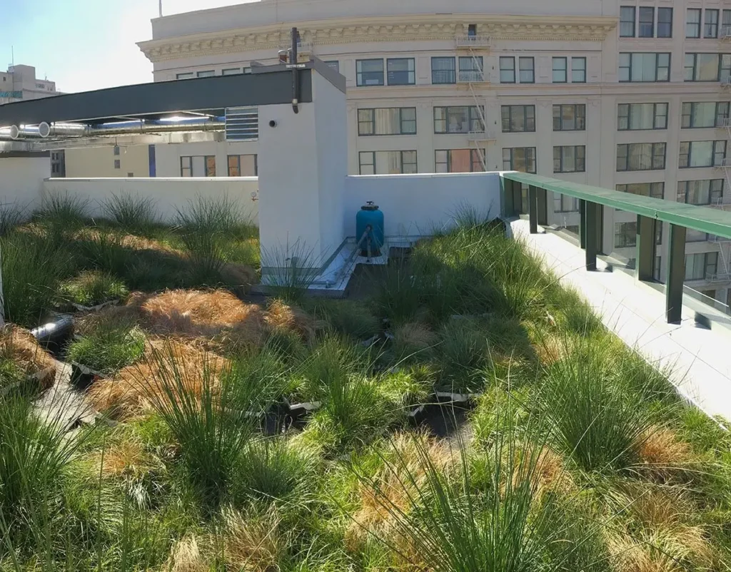A green roof featuring lush grass and various plants atop a modern building, promoting sustainability and biodiversity.